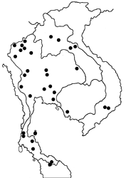 Nacaduba pactolus continentalis map