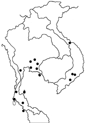 Nacaduba pavana vajuva map