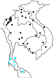 Nacaduba beroe gythion map