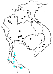 Nacaduba berenice aphya map