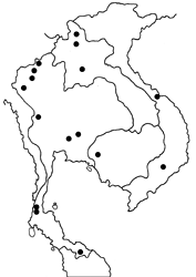 Prosotas bhutea bhutea map