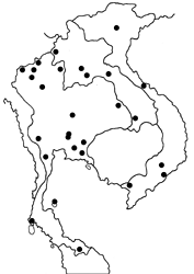 Petrelaea dana map