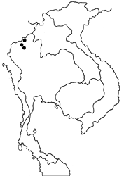 Orthomiella fukienensis diversa map