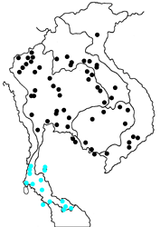 Anthene emolus emolus map