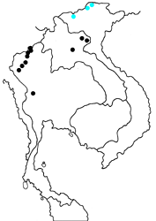 Heliophorus brahma major map