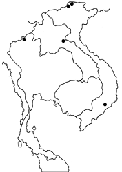 Heliophorus eventa map