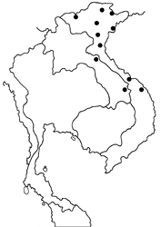 Heliophorus delacouri map