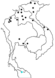 Heliophorus epicles tweediei map