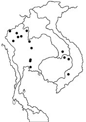 Spindasis vulcanus tavoyanus map