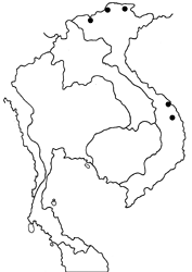 Yamamotozephyrus kwangtungensis hainanus map