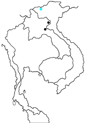 Chrysozephyrus intermedius lao map