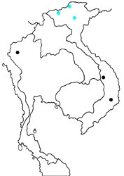 Chrysozephyrus inthanonensis inthanonensis map