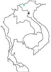 Chrysozephyrus vittatus akikoae map