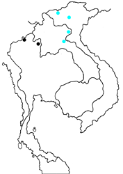 Chrysozephyrus kabrua ueharai map