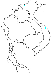 Chrysozephyrus nigroapicalis katsurai map
