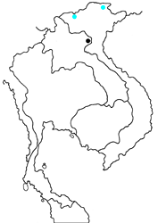 Chrysozephyrus watsoni watsoni map