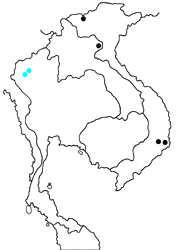 Chrysozephyrus disparatus disparatus map