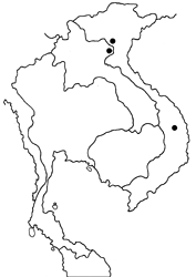 Kawazoeozephyrus jiroi map