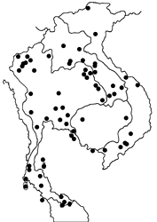 Arhopala centaurus nakula map