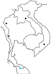 Arhopala varro varro map