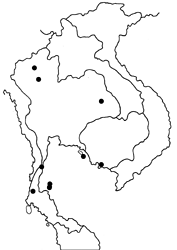 Arhopala bazaloides bazaloides map