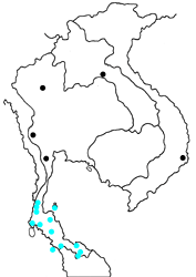 Arhopala aedias meritatas map