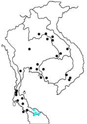 Arhopala atosia malayana map