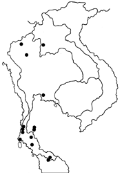 Arhopala antimuta antimuta map