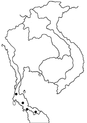Arhopala phaenops sandakani map