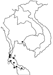Arhopala sublustris ridleyi map