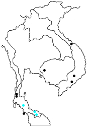 Arhopala cleander regia map