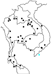 Arhopala agaba agaba map