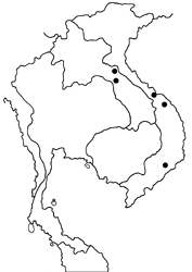 Arhopala insperata map