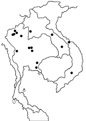 Arhopala rama ramosa map