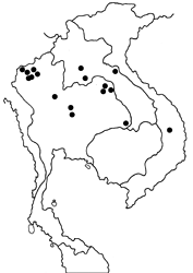 Arhopala asopia map