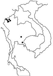 Arhopala aeeta map