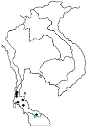 Arhopala horsfieldi eurysthenes map