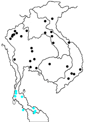 Arhopala eumolphus eumolphus map