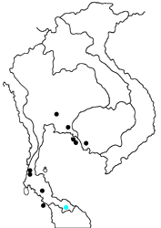Arhopala corinda corestes map