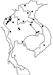 Arhopala birmana birmana map