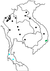 Arhopala paraganesa mendava map