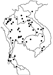 Surendra quercetorum quercetorum map