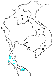 Surendra vivarna amisena map