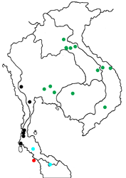Thamala marciana ssp. map