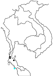 Drupadia niasica biranta map