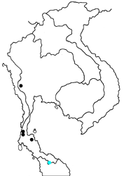 Drupadia estella nicevillei map