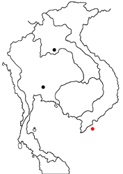 Horaga albimacula insulana map