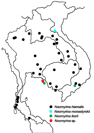 Neomyrina distribution