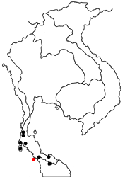 Dacalana burmana burmana map