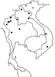Pratapa icetas extensa map